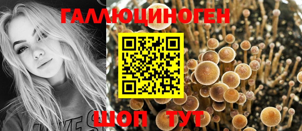 Псилоцибиновые грибы мицелий  Вход с VPN  Сызрань 